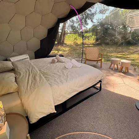 Casa vacanze Domaine Lucienne With Pickleball Court